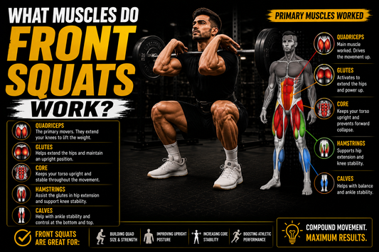 What Muscles Do Front Squats Work? A Complete Guide